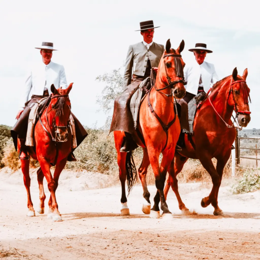 Andalusian Adventure Tour El Rocio Horses