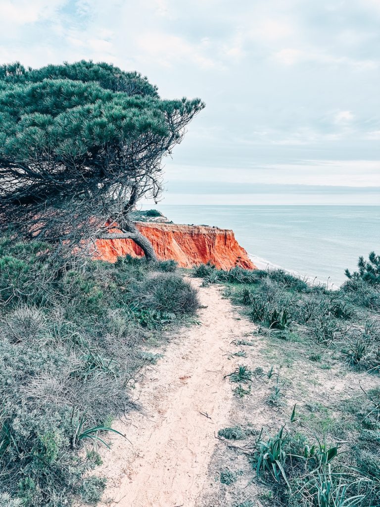 Explore Huelva & Algarve Authenticity Sustainability responsible tourism Excursions Praia Falesia Beach Central Algarve Cliffs