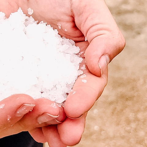 Salty Secrets Explore Huelva Excursion Tour Market Salt Salines Marshes Isla Cristina Cooking Workshop Paella