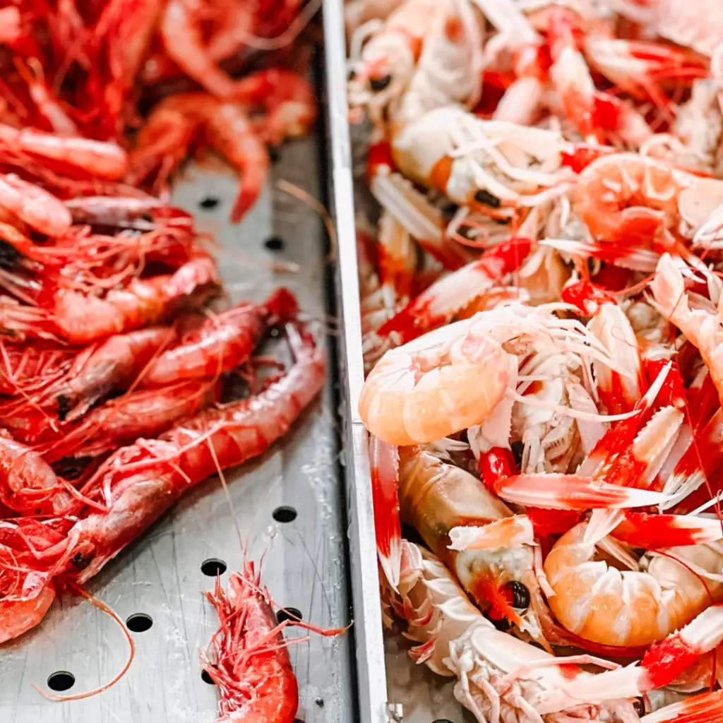 Salty Secrets Market Salines Tour Isla Cristina Shrimps Seafood