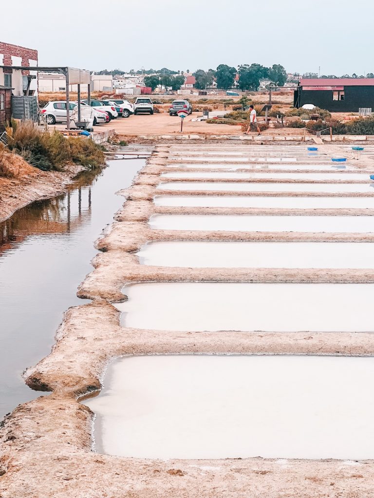 Salinas de Alemán Salt salines Salt flats Isla Cristina Sustainable Tourism Huelva Spain
