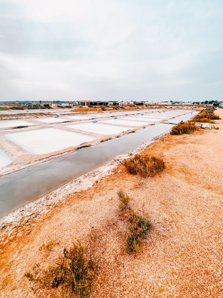 Salinas de Alemán Salt salines Salt flats Isla Cristina Sustainable Tourism Huelva Spain