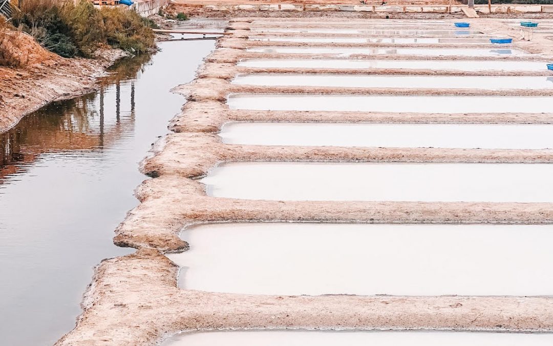 Salinas de Alemán – Salinas de Isla Cristina